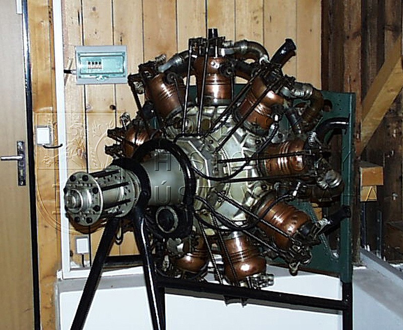 Letecký motor Salmson R 9, výr. č. 15479