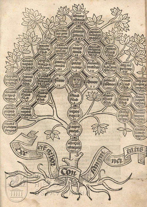 ANDREAE, Johannes. Arbor consanguinitatis affinitatis cognationis spiritualis et legalis, unacum exemplis et enigmatibus perpulcris