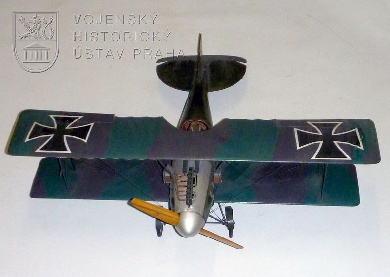 Albatros D II