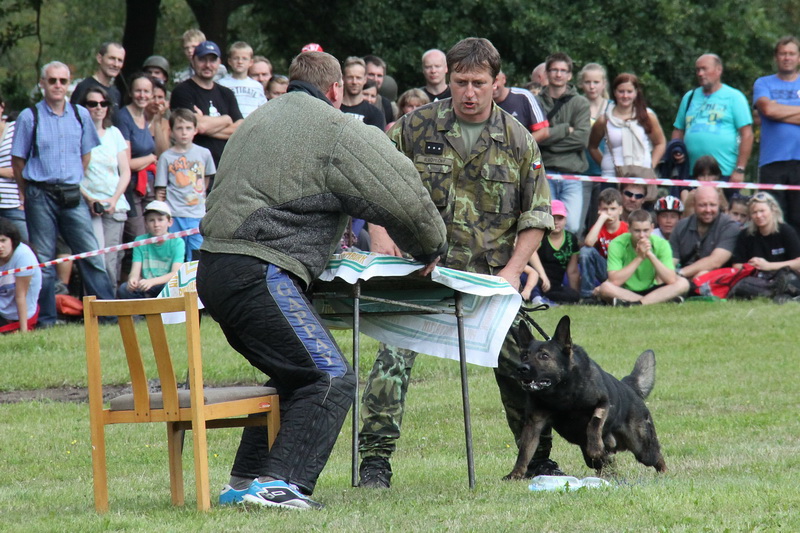 Ukázka výcviku psů veterinární základny Chotyně