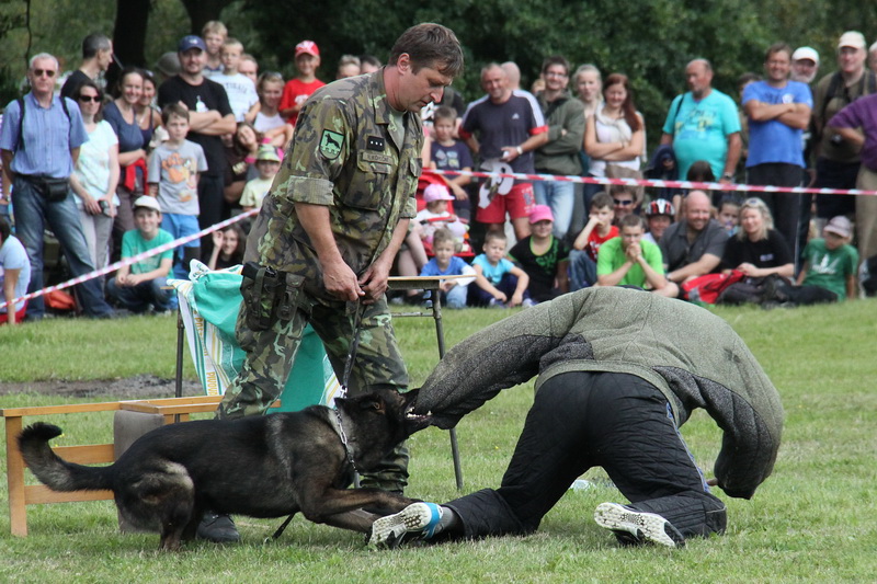 Ukázka výcviku psů veterinární základny Chotyně