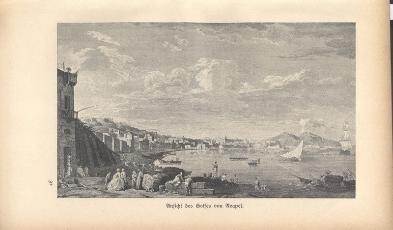 VELTZÉ, Alois. Krieg gegen Neapel 1815.