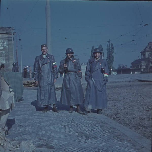 Tatáž fotografie pro srovnání ve stavu před barevnou korekcí.
FOTO: Oldřich Cerha
