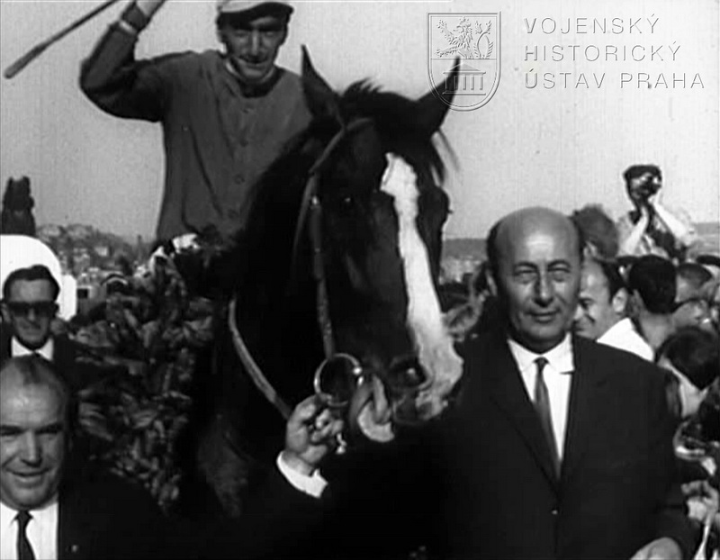 Film „Curriculum vitae“