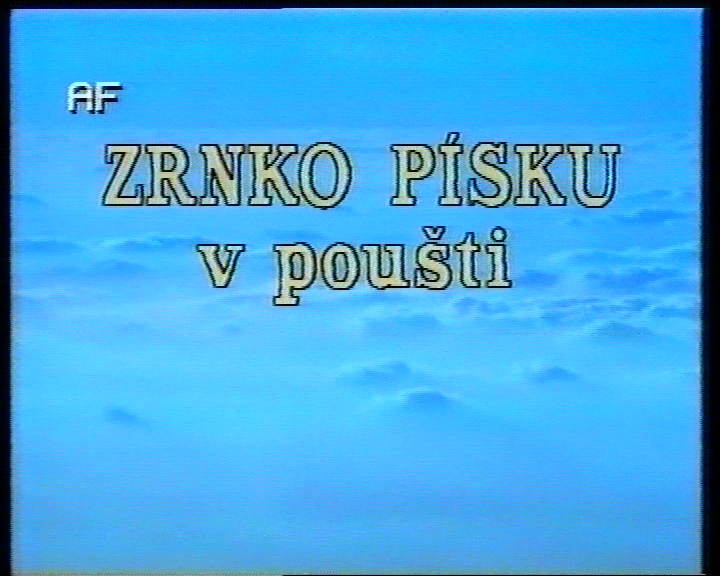 Zrnko písku v poušti