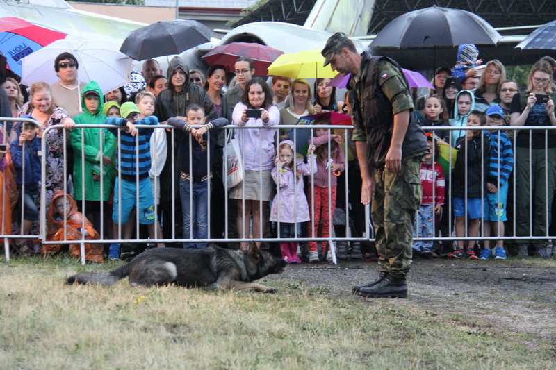 Ukázka výcviku služebních psů