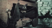 Estonský film Válka