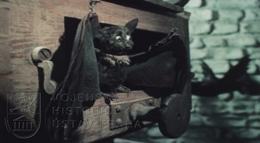 Film „Válka“