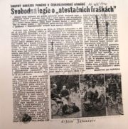 Jeden z mnoha článků, které oživily zájem veřejnosti o situaci v armádě. (Archiv Parlamentu ČR)