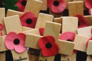 Vlčí máky, symbol Dne válečných veteránů