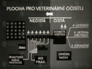 Film „Veterinární očista“