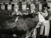 Film „Veterinární očista“