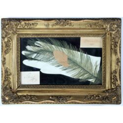 01 Gloves and feather from the hat of Count Radetzky