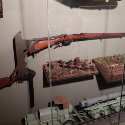 04 Austro-Hungarian Trench Rifle Mannlicher  1895 Model, Calibre 8 mm Mannlicher