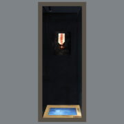 Český šlechtický kříž, 1814