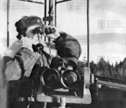 Vidová hláska