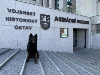 Psi vojenské policie si vyzkoušeli své dovednosti v Armádním muzeu Žižkov