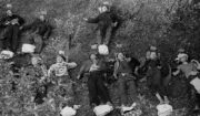 Oběti masakru v Bretschneiderově vile na Pankráci. Identifikační lístky mají připevněny v záhlaví.