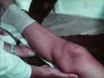 Film „… a zachráníš život – II.“