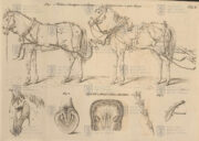 Ukázka rozkládacích obrazových příloh – koně v dělostřeleckém zápřahu. SMOLA, Joseph von a SMOLA, Karl von. Handbuch für k. k. österreichische Artillerie-Offiziere