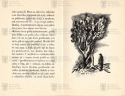 MASARYK, Tomáš Garrigue. Starý strom. Praha 1935. (4)