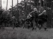 Film „Volno vojáka“ (2)