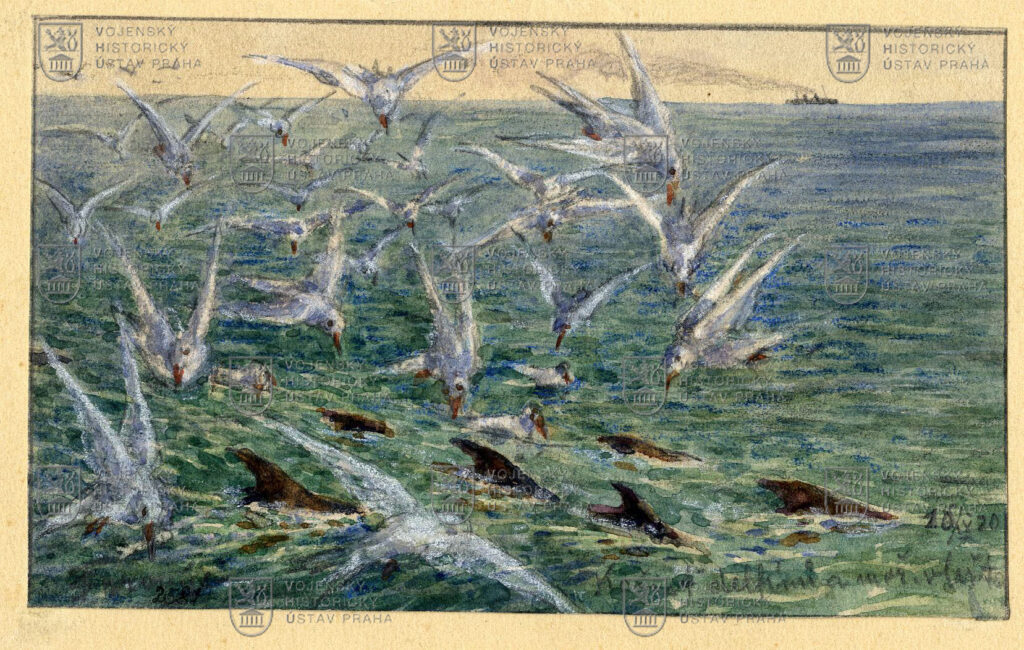 František Syrový, Delfíni na lovu, 1920