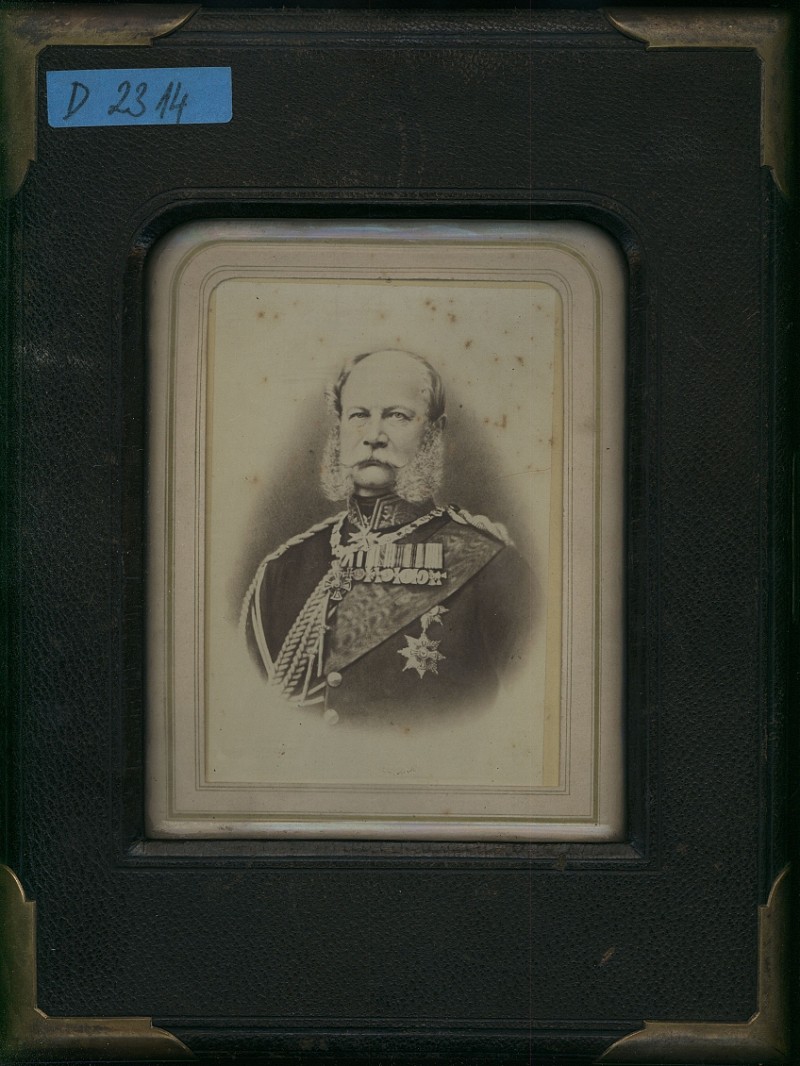 Der Siegeszug zur Deutschen Einheit: Gesichte des Kriges von 1870...